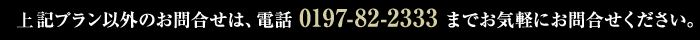 上記プラン以外のお問合せは、電話 0197-82-2333 までお気軽にお問合せください。